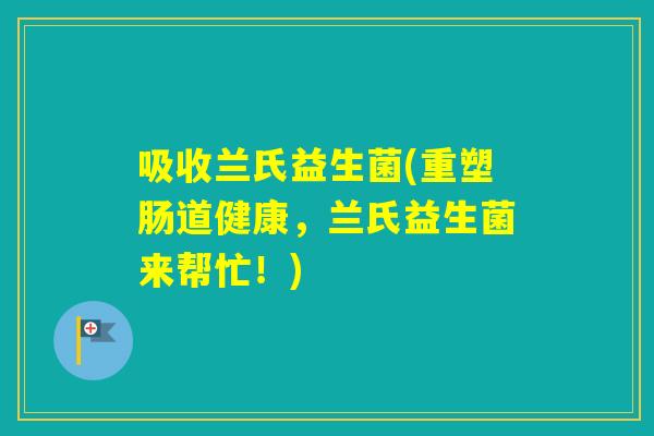 吸收兰氏益生菌(重塑肠道健康,兰氏益生菌来帮忙!) 吸收兰氏益生菌(重塑肠道健康,兰氏益生菌来帮忙!)