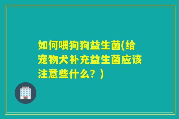如何喂狗狗益生菌(给宠物犬补充益生菌应该注意些什么?) 如何喂狗狗益生菌(给宠物犬补充益生菌应该注意些什么?)