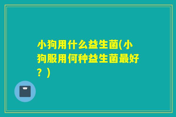小狗用什么益生菌(小狗服用何种益生菌好?) 小狗用什么益生菌(小狗服用何种益生菌好?)