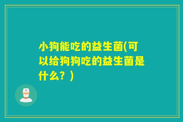 小狗能吃的益生菌(可以给狗狗吃的益生菌是什么？)