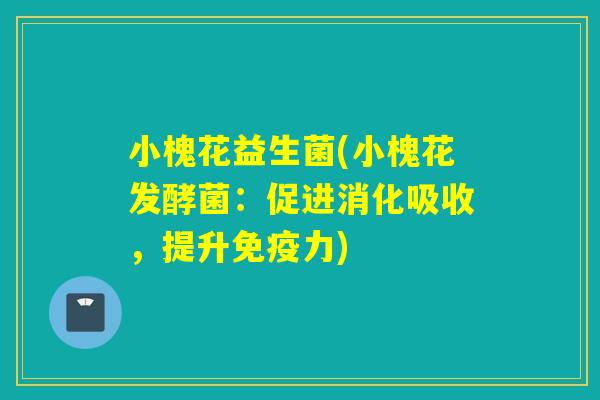 小槐花益生菌(小槐花发酵菌：促进消化吸收，提升力)