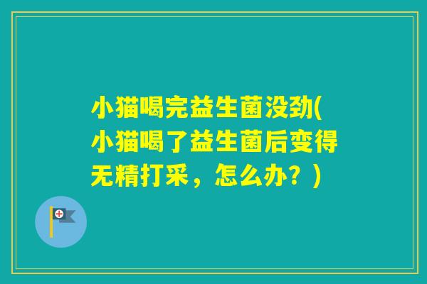 小猫喝完益生菌没劲(小猫喝了益生菌后变得无精打采，怎么办？)