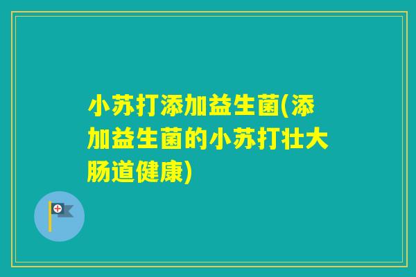 小苏打添加益生菌(添加益生菌的小苏打壮大肠道健康)