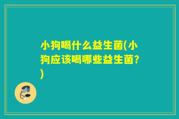 小狗喝什么益生菌(小狗应该喝哪些益生菌？)
