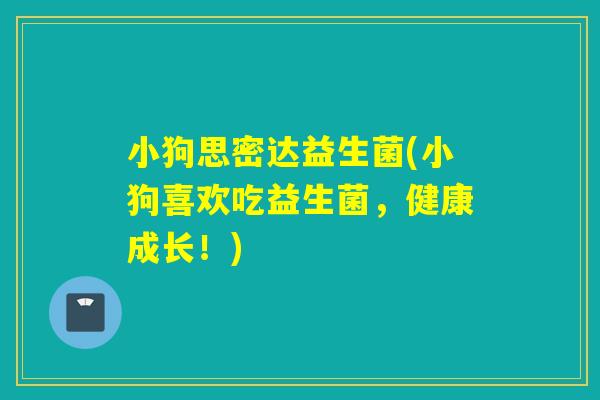 小狗思密达益生菌(小狗喜欢吃益生菌,健康成长!) 小狗思密达益生菌(小狗喜欢吃益生菌,健康成长!)