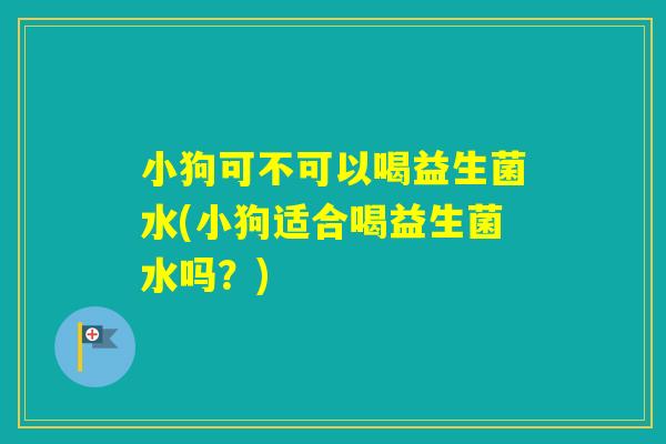 小狗可不可以喝益生菌水(小狗适合喝益生菌水吗？)