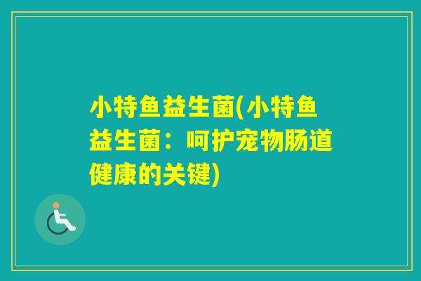 小特鱼益生菌(小特鱼益生菌：呵护宠物肠道健康的关键)