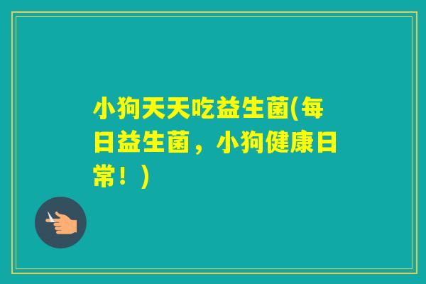 小狗天天吃益生菌(每日益生菌，小狗健康日常！)