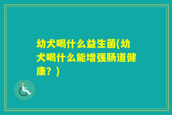 幼犬喝什么益生菌(幼犬喝什么能增强肠道健康?) 幼犬喝什么益生菌(幼犬喝什么能增强肠道健康?)