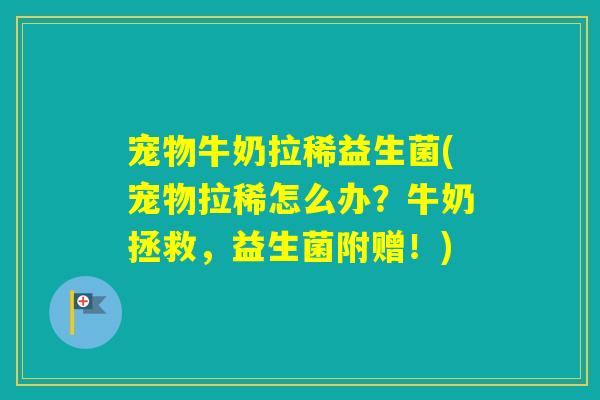 宠物牛奶拉稀益生菌(宠物拉稀怎么办？牛奶拯救，益生菌附赠！)