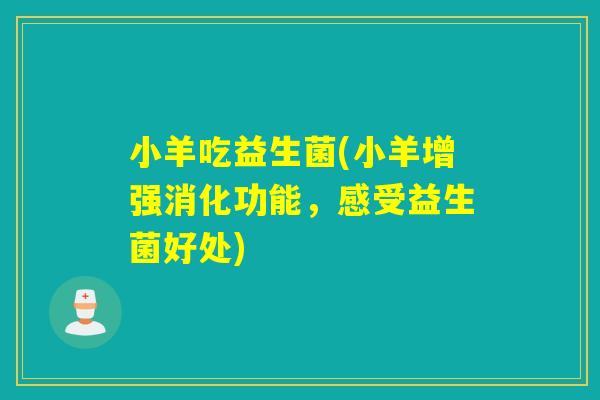 小羊吃益生菌(小羊增强消化功能，感受益生菌好处)