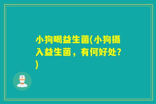 小狗喝益生菌(小狗摄入益生菌，有何好处？)