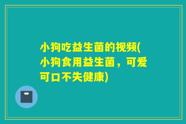 小狗吃益生菌的视频(小狗食用益生菌,可爱可口不失健康) 小狗吃益生菌的视频(小狗食用益生菌,可爱可口不失健康)