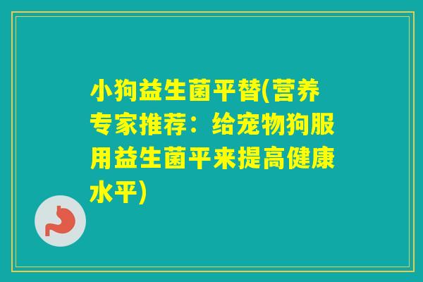 小狗益生菌平替(营养专家推荐:给宠物狗服用益生菌平来提高健康水平) 小狗益生菌平替(营养专家推荐:给宠物狗服用益生菌平来提高健康水平)