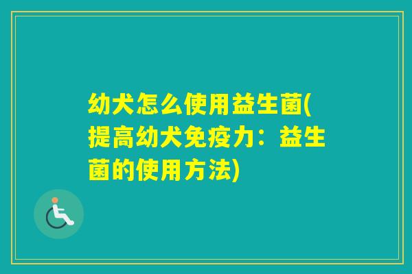 幼犬怎么使用益生菌(提高幼犬力:益生菌的使用方法) 幼犬怎么使用益生菌(提高幼犬力:益生菌的使用方法)