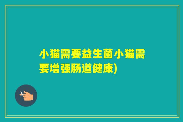 小猫需要益生菌小猫需要增强肠道健康)