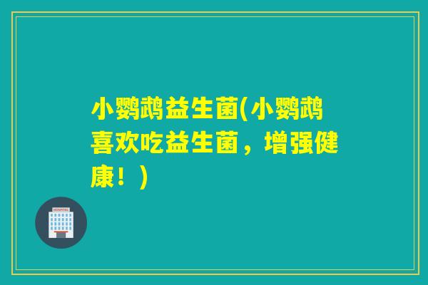 小鹦鹉益生菌(小鹦鹉喜欢吃益生菌，增强健康！)
