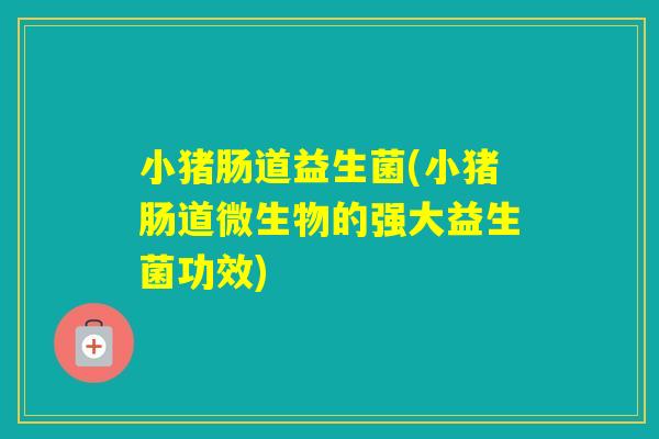 小猪肠道益生菌(小猪肠道微生物的强大益生菌功效)