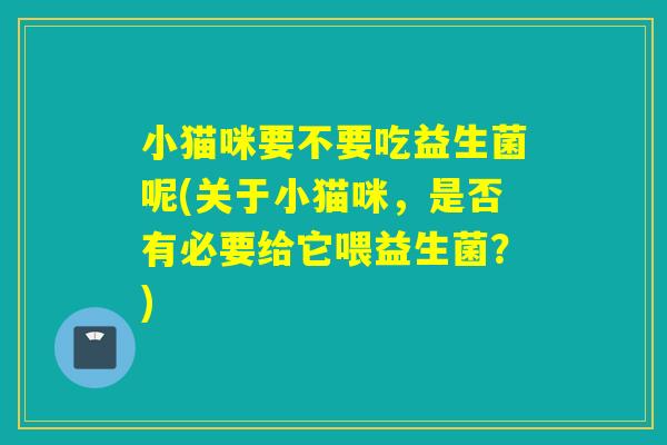 小猫咪要不要吃益生菌呢(关于小猫咪,是否有必要给它喂益生菌?) 小猫咪要不要吃益生菌呢(关于小猫咪,是否有必要给它喂益生菌?)