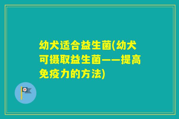 幼犬适合益生菌(幼犬可摄取益生菌——提高力的方法)