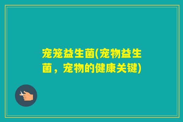 宠笼益生菌(宠物益生菌，宠物的健康关键)