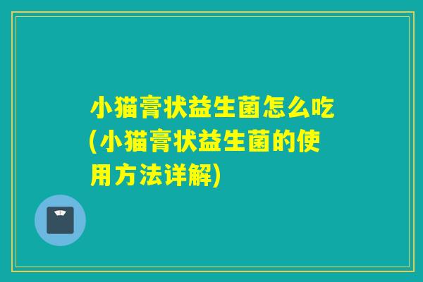 小猫膏状益生菌怎么吃(小猫膏状益生菌的使用方法详解)