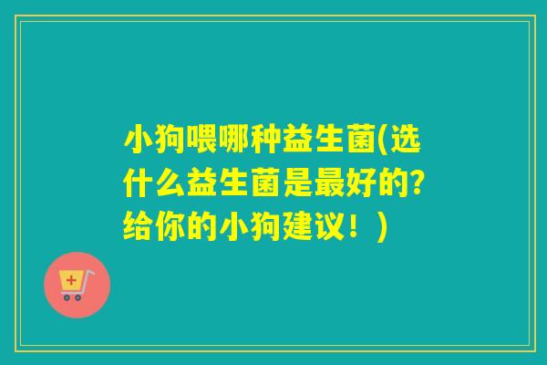 小狗喂哪种益生菌(选什么益生菌是好的?给你的小狗建议!) 小狗喂哪种益生菌(选什么益生菌是好的?给你的小狗建议!)