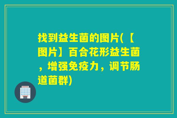 找到益生菌的图片(【图片】百合花形益生菌，增强力，调节肠道菌群)