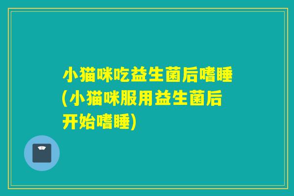 小猫咪吃益生菌后嗜睡(小猫咪服用益生菌后开始嗜睡) 小猫咪吃益生菌后嗜睡(小猫咪服用益生菌后开始嗜睡)
