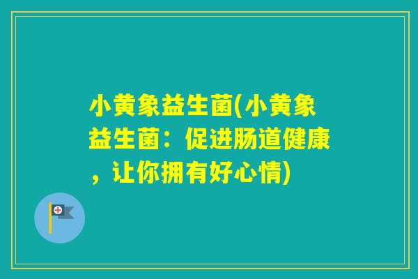 小黄象益生菌(小黄象益生菌:促进肠道健康,让你拥有好心情) 小黄象益生菌(小黄象益生菌:促进肠道健康,让你拥有好心情)