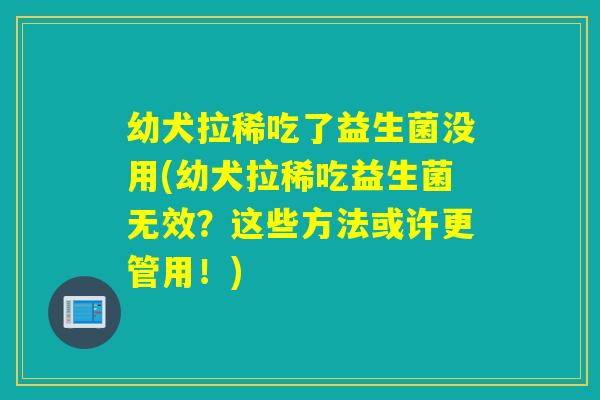 幼犬拉稀吃了益生菌没用(幼犬拉稀吃益生菌无效？这些方法或许更管用！)