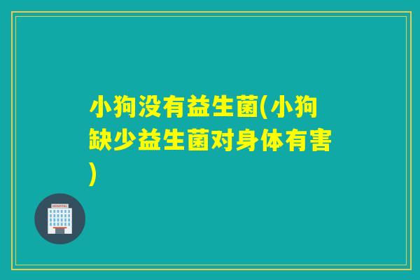 小狗没有益生菌(小狗缺少益生菌对身体有害) 小狗没有益生菌(小狗缺少益生菌对身体有害)