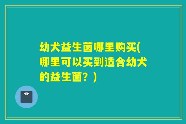 幼犬益生菌哪里购买(哪里可以买到适合幼犬的益生菌?) 幼犬益生菌哪里购买(哪里可以买到适合幼犬的益生菌?)