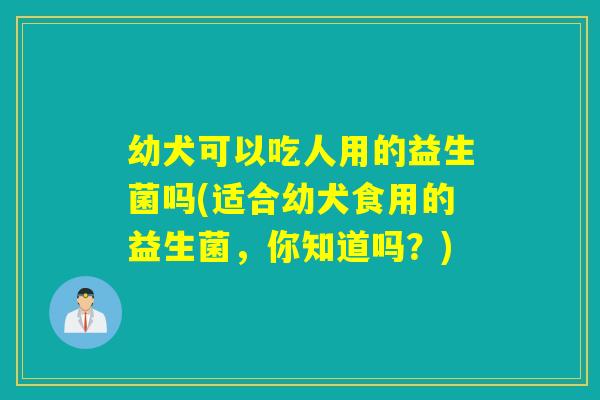 幼犬可以吃人用的益生菌吗(适合幼犬食用的益生菌,你知道吗?) 幼犬可以吃人用的益生菌吗(适合幼犬食用的益生菌,你知道吗?)