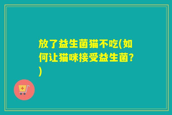 放了益生菌猫不吃(如何让猫咪接受益生菌？)