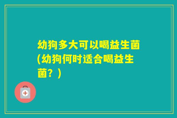 幼狗多大可以喝益生菌(幼狗何时适合喝益生菌？)