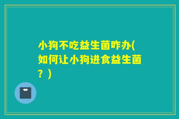 小狗不吃益生菌咋办(如何让小狗进食益生菌?) 小狗不吃益生菌咋办(如何让小狗进食益生菌?)