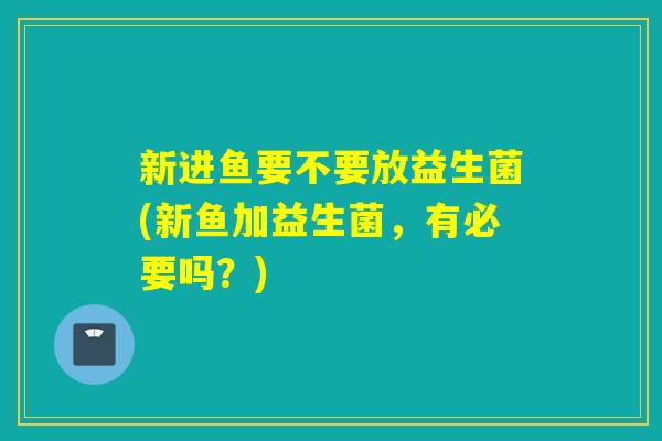 新进鱼要不要放益生菌(新鱼加益生菌，有必要吗？)