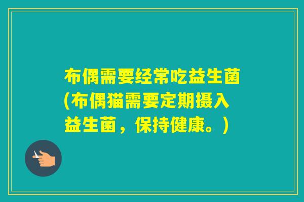 布偶需要经常吃益生菌(布偶猫需要定期摄入益生菌，保持健康。)