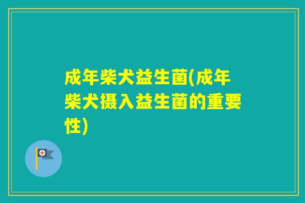 成年柴犬益生菌(成年柴犬摄入益生菌的重要性) 成年柴犬益生菌(成年柴犬摄入益生菌的重要性)