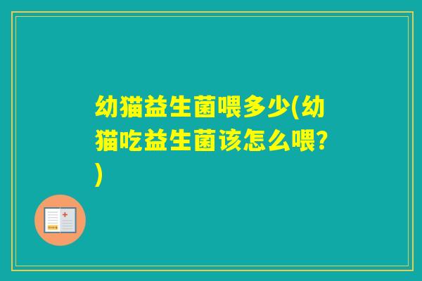幼猫益生菌喂多少(幼猫吃益生菌该怎么喂？)