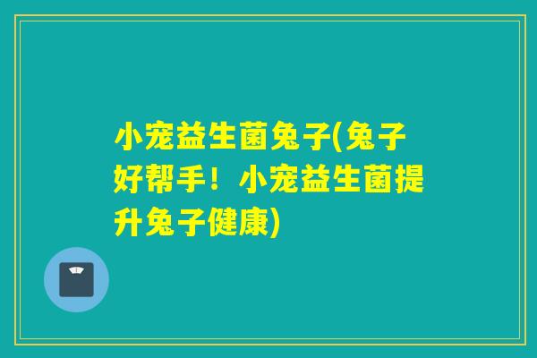 小宠益生菌兔子(兔子好帮手！小宠益生菌提升兔子健康)