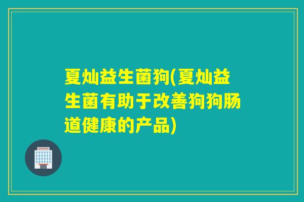 夏灿益生菌狗(夏灿益生菌有助于改善狗狗肠道健康的产品)