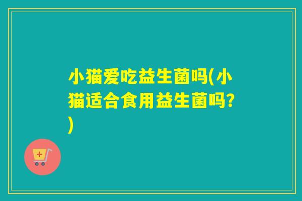 小猫爱吃益生菌吗(小猫适合食用益生菌吗？)