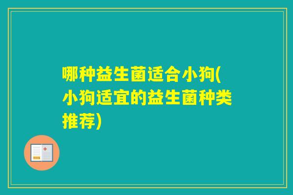 哪种益生菌适合小狗(小狗适宜的益生菌种类推荐)