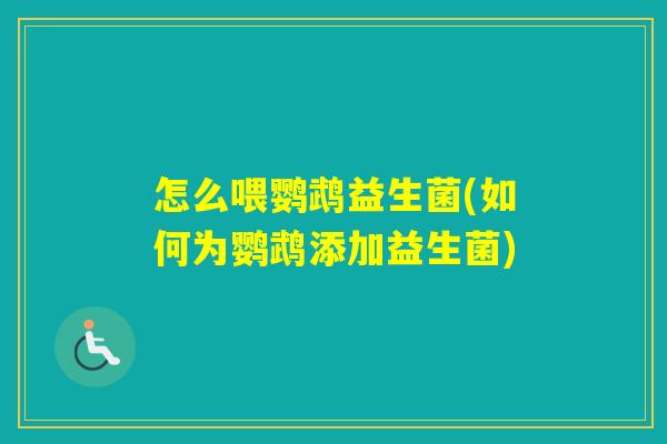 怎么喂鹦鹉益生菌(如何为鹦鹉添加益生菌)