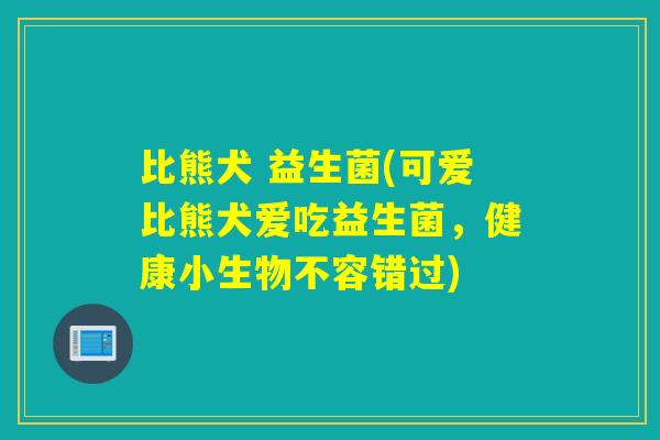 比熊犬 益生菌(可爱比熊犬爱吃益生菌，健康小生物不容错过)