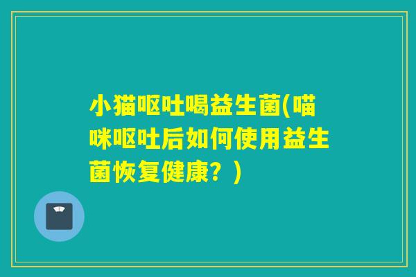 小猫喝益生菌(喵咪后如何使用益生菌恢复健康？)