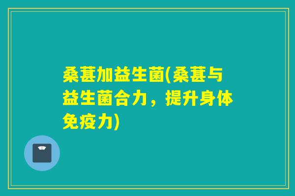 桑葚加益生菌(桑葚与益生菌合力，提升身体力)