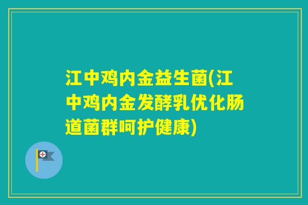江中鸡内金益生菌(江中鸡内金发酵乳优化肠道菌群呵护健康)